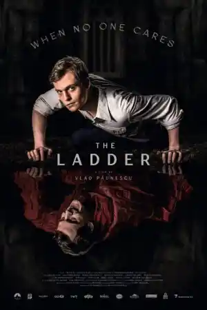 Scara / The Ladder