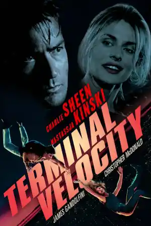 Terminal Velocity