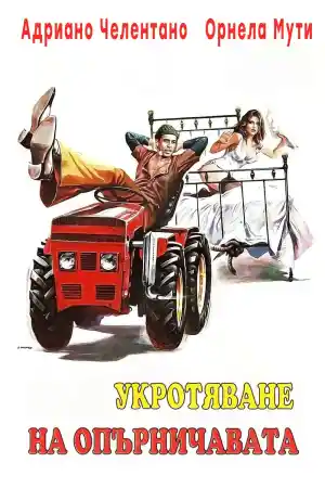 Il bisbetico domato