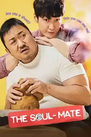The Soul Mate / Wondeopul goseuteu
