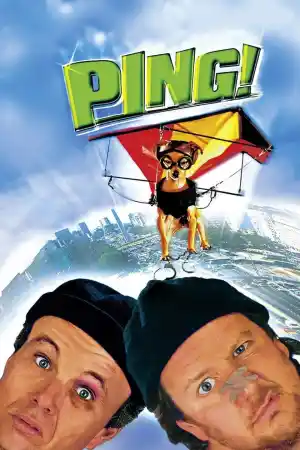 Ping